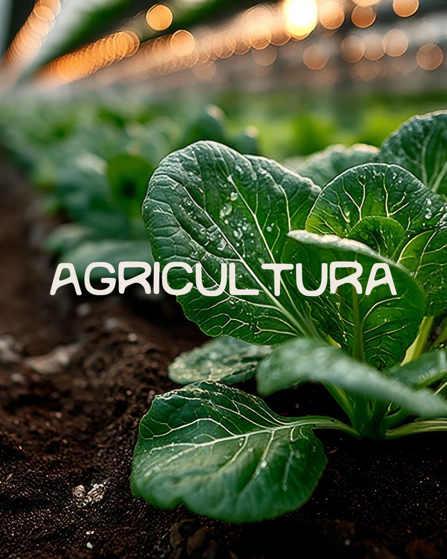 Agricultura